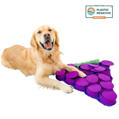 Forbidden Grapes ™ Snuffle Mat | Level 4 | Puzzle Mats