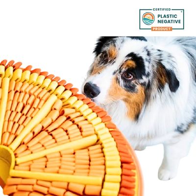 Tangy Orange™ Snuffle Mat | Level 2 | Mental Stimulation Toy