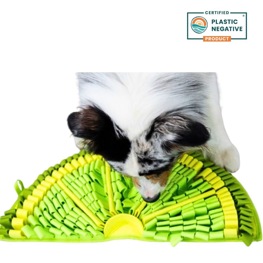 Zesty Lime™ Snuffle Mat | Level 2 | Interactive Dog Mat