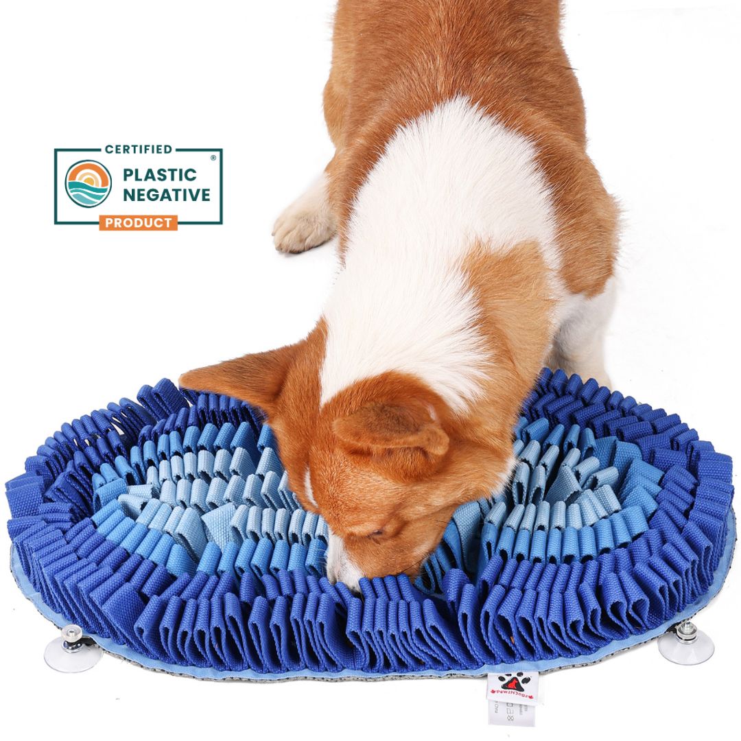 Fire &amp; Ice™ Anti-Bite (Ice) Snuffle Mat | Level 2 Sniff Mat