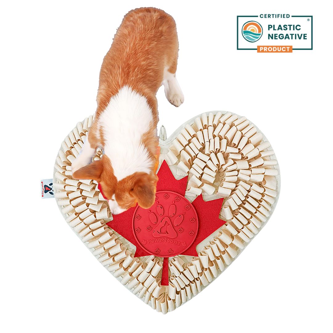 Boundless Love™ Anti-Bite Snuffle Mat | Level 3 Sniff Mat