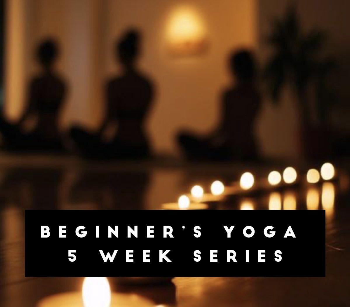 Beginner Yoga Flow Series