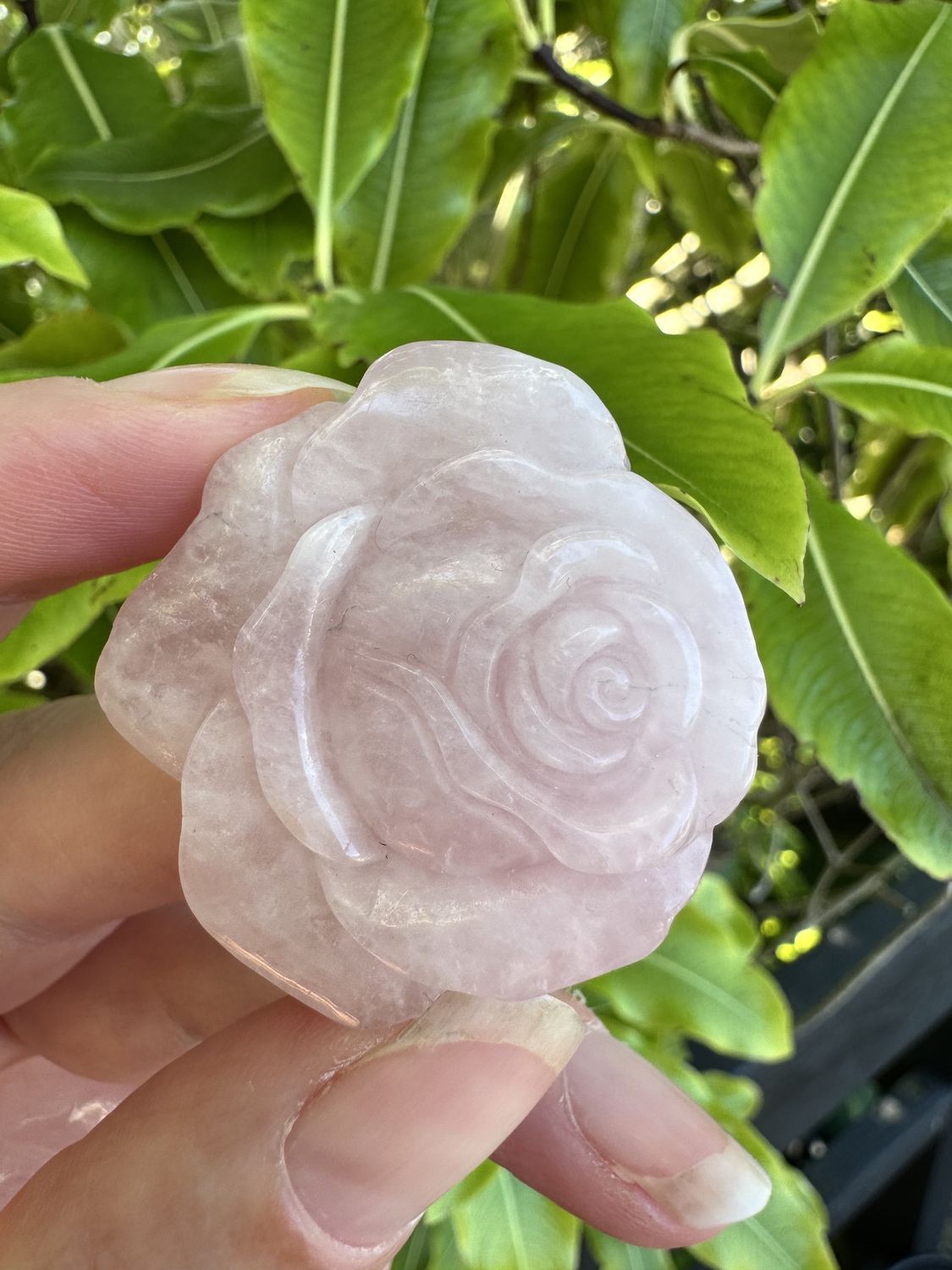 Carved Rose Quartz Rose