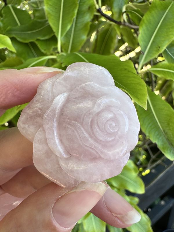 Carved Rose Quartz Rose