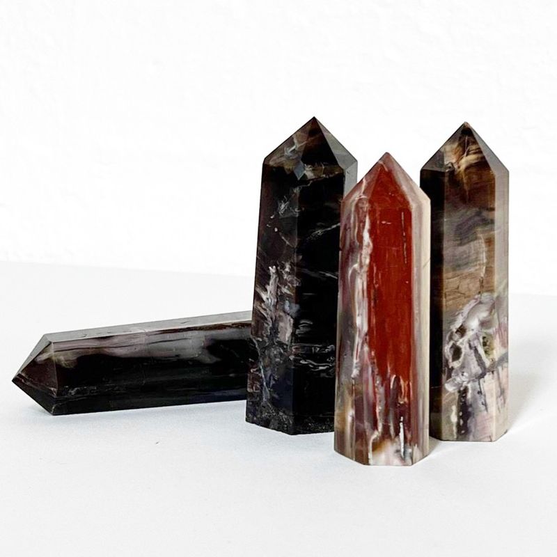 Wood Agate Tower (petrified wood)
