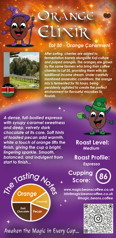 Orange Elixir - Espresso / Filter / Cold Brew - Coferment - Single Origin