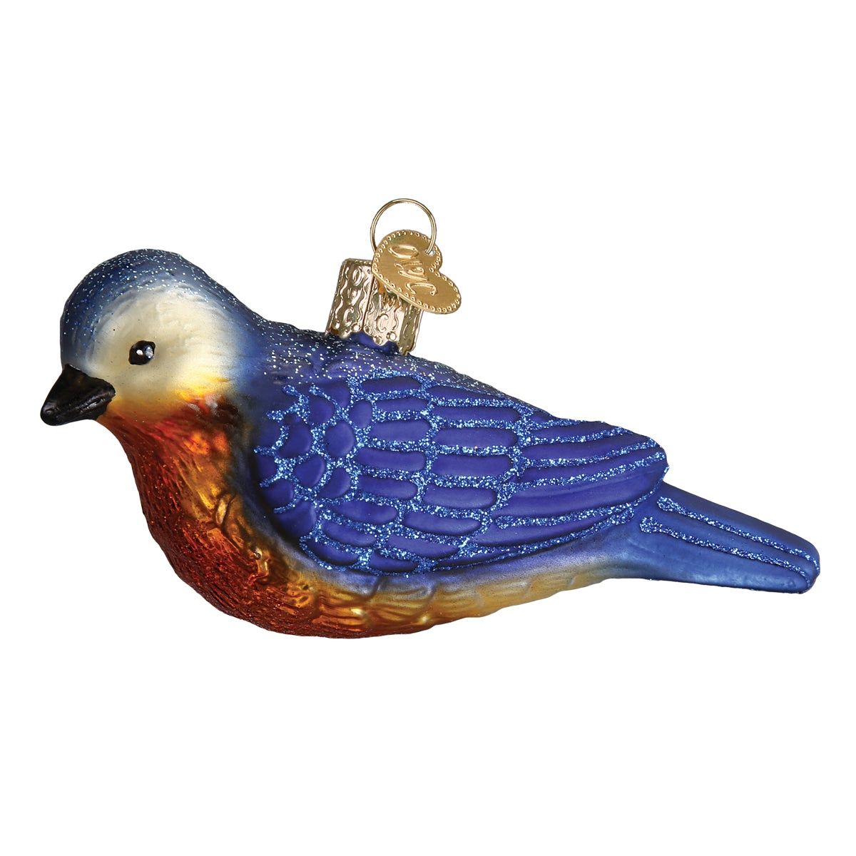 Hanging Western Bluebird