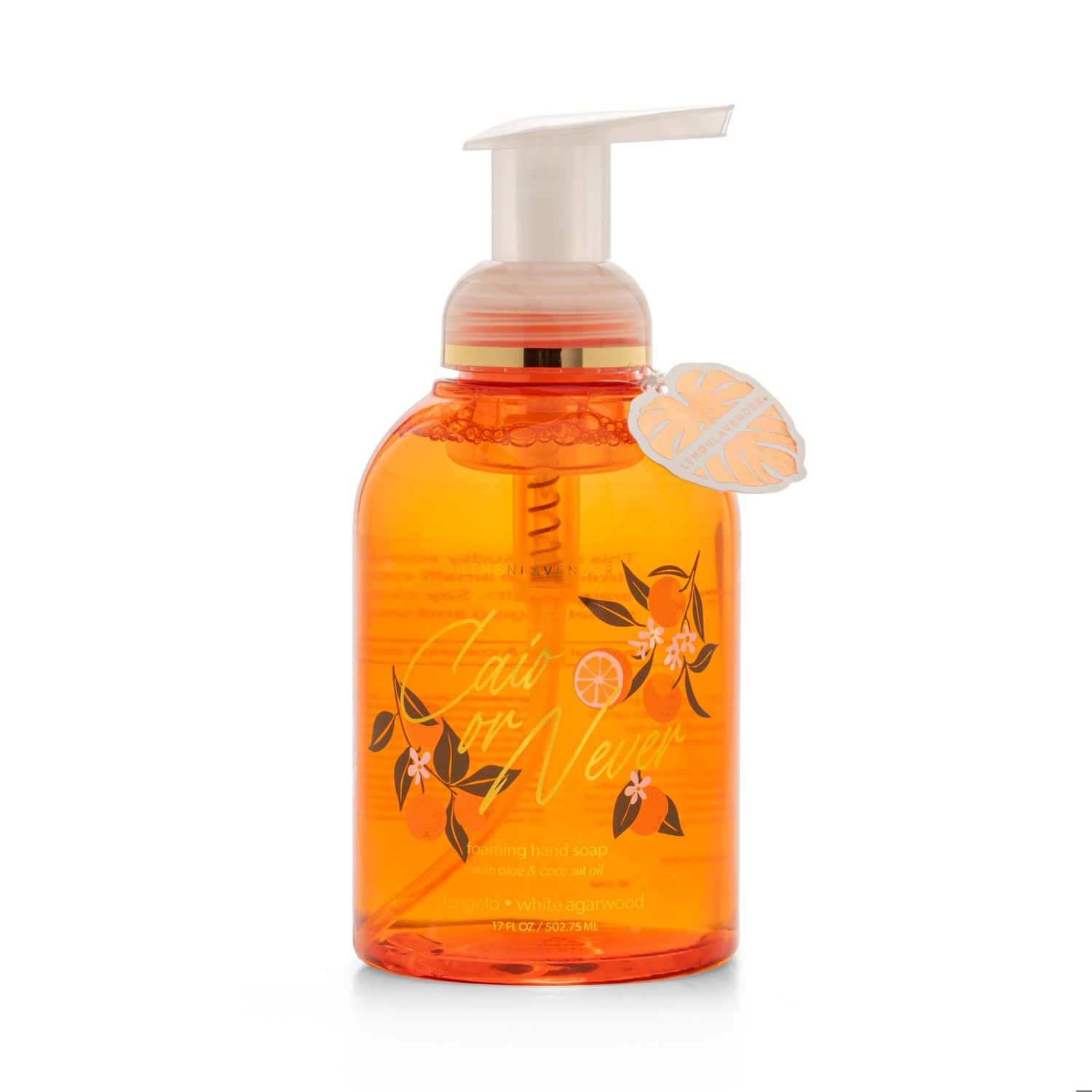 Foaming Hand Soap Map Of Luxury Ciao' Or Never