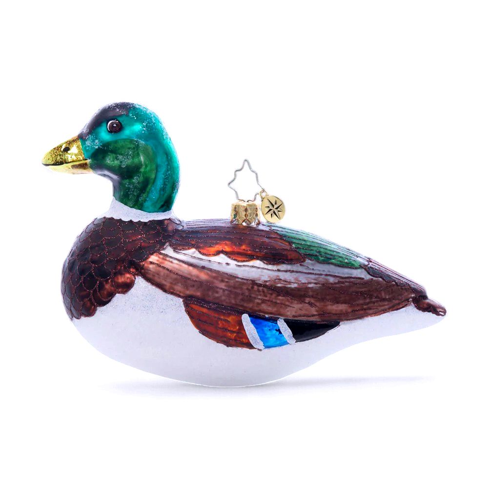 Majestic Mallard