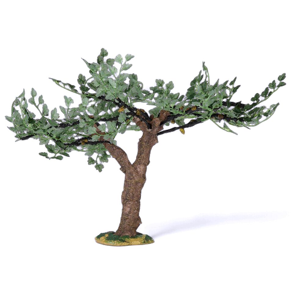Fig Tree Fontanini 5" Scale