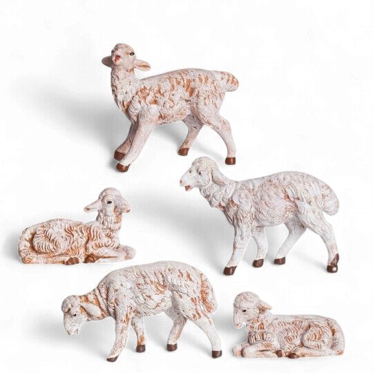 White Sheep - 5Pc Set - Fontanini 5" Scale