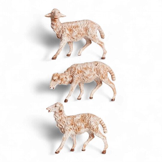 White Sheep - 3Pc Set - Fontanini 7.5" Scale