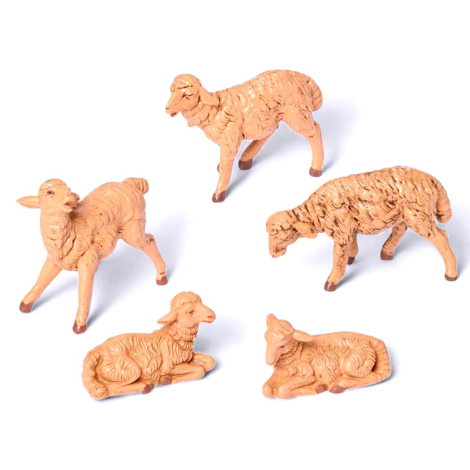 Sheep Set - 5Pc Set - Fontanini 5" Scale