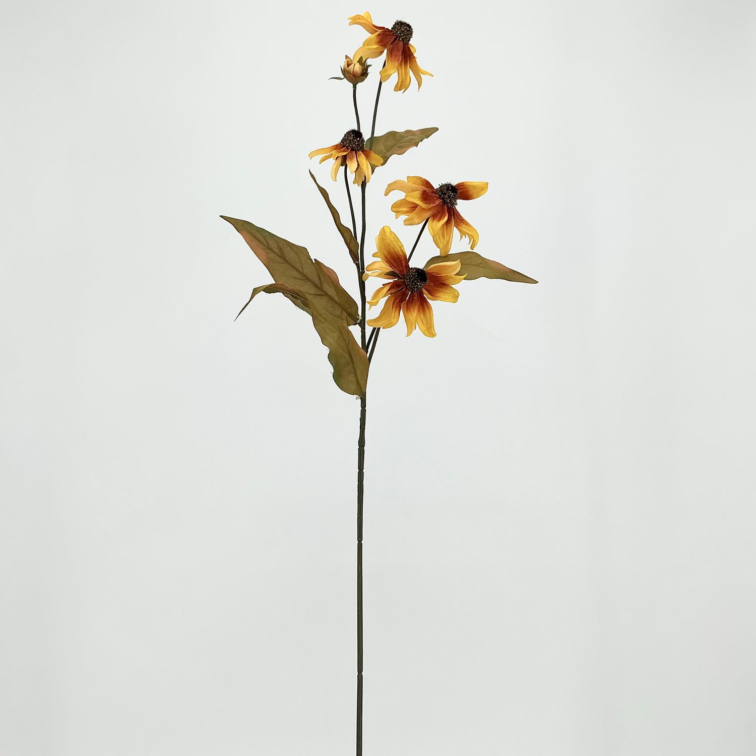 Black Eyes Susan Stem 32" - Gold