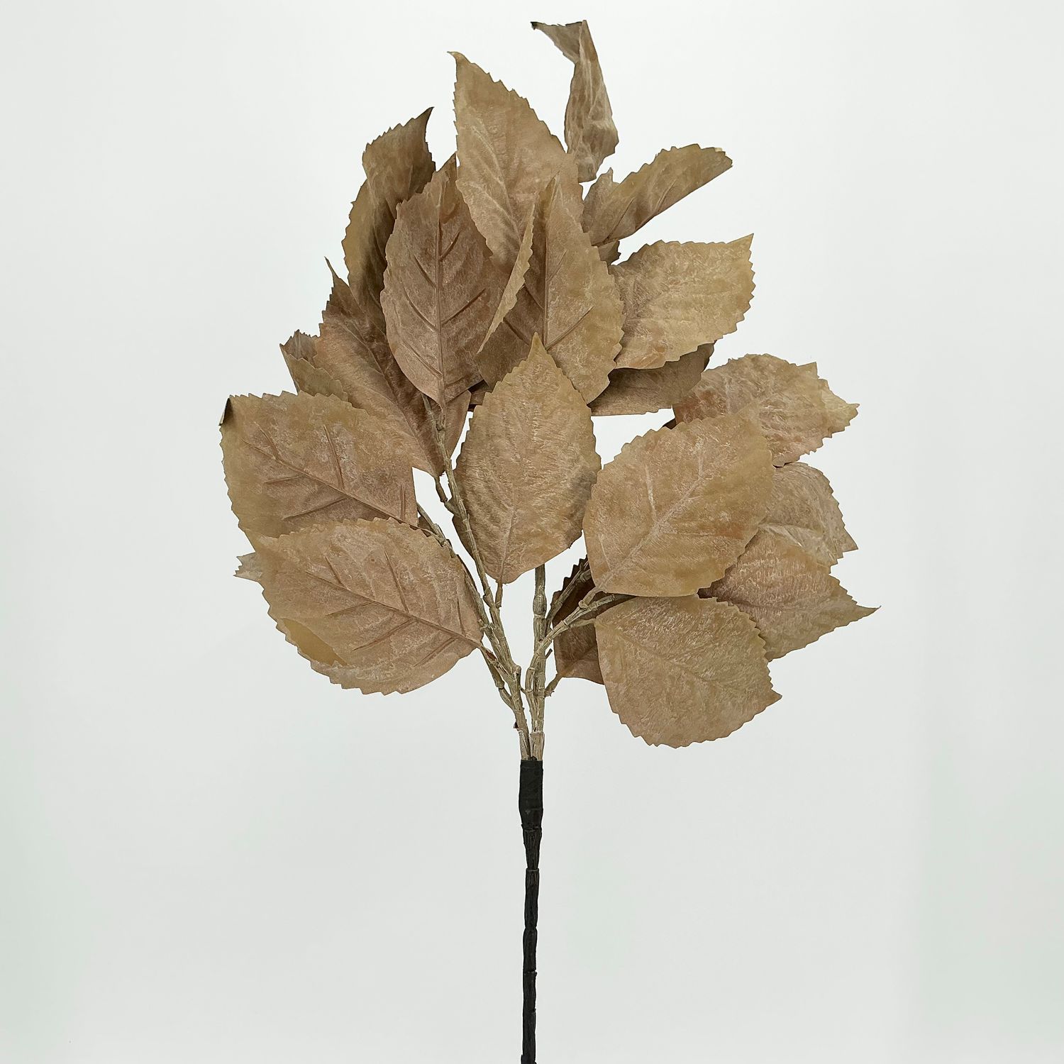 Hydrangea Leaves Stem 28" - Beige