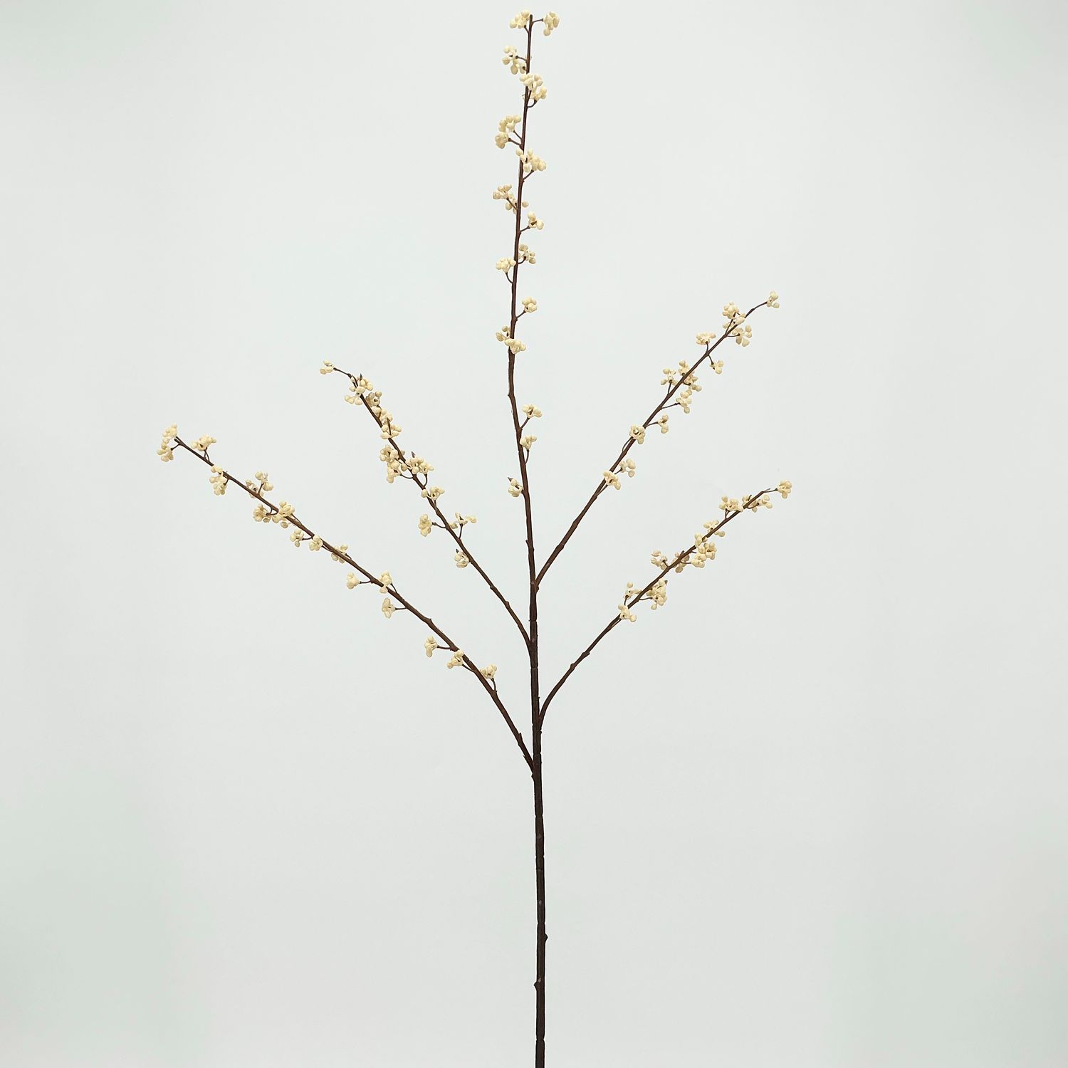 Berry Bundle 34" - Biege