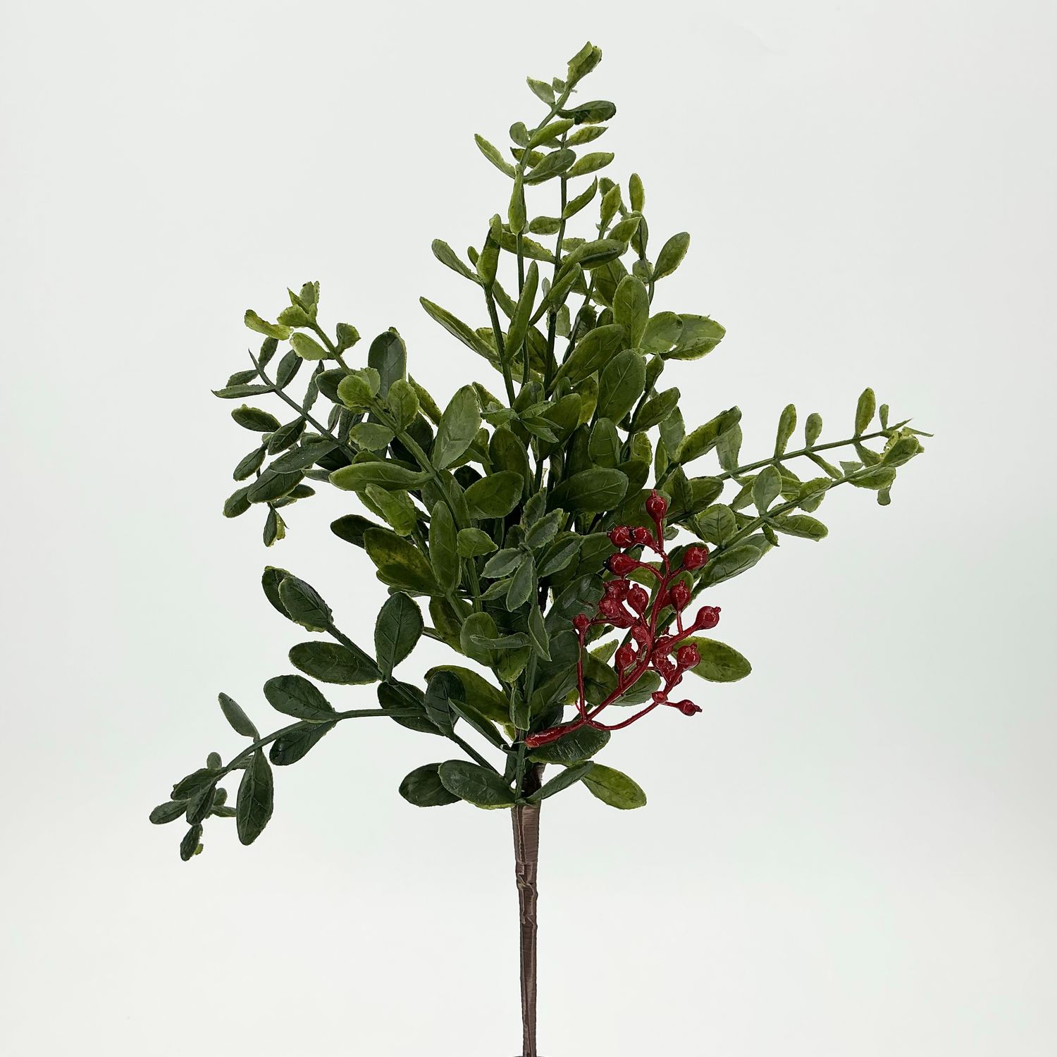 Outdoor Ruscus Pick