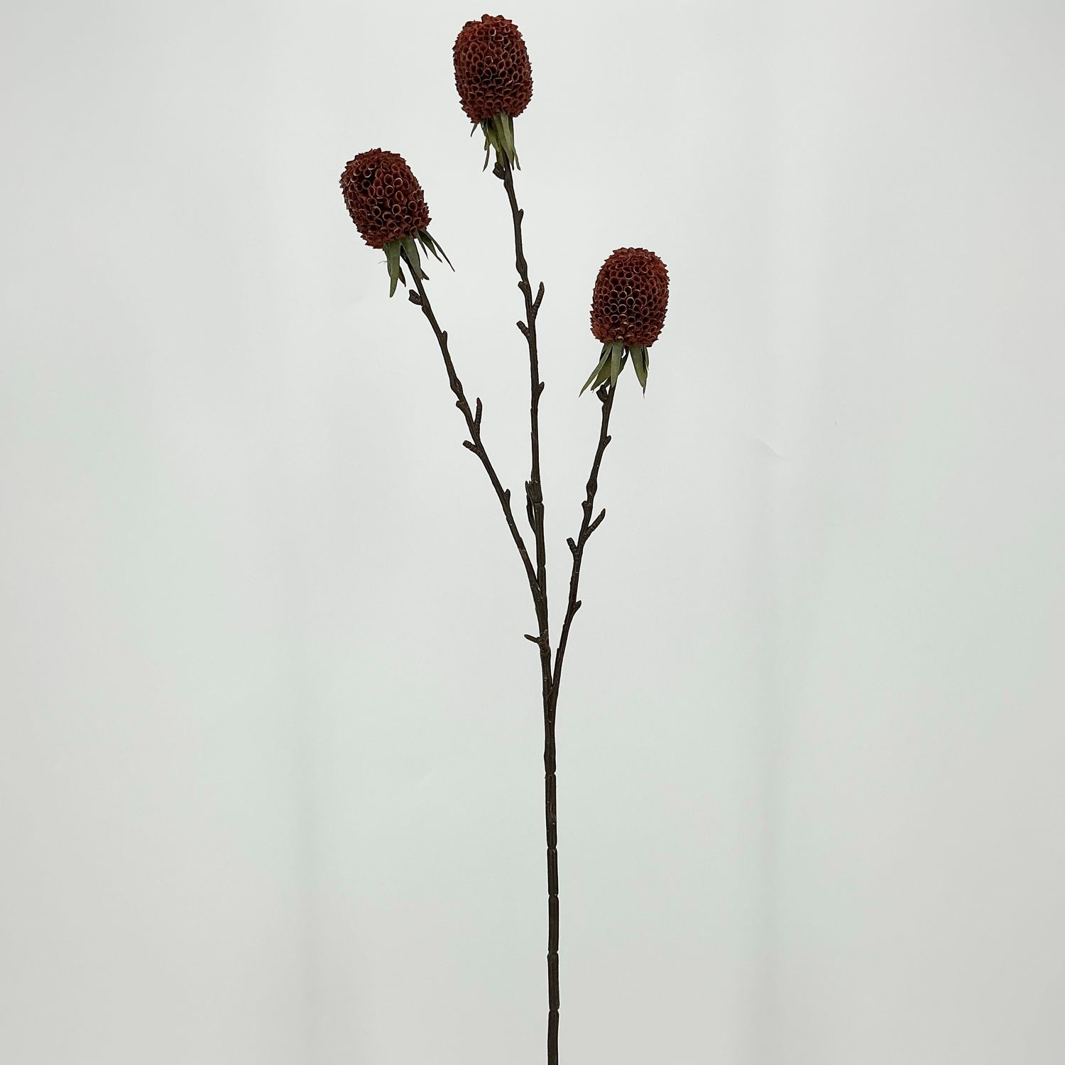 Ginger Spray 29" - Rose