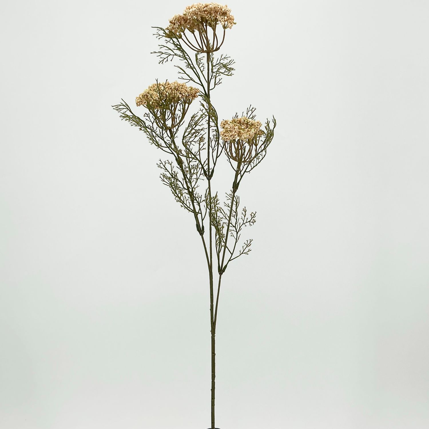Yarrow Stem 29" - Beige