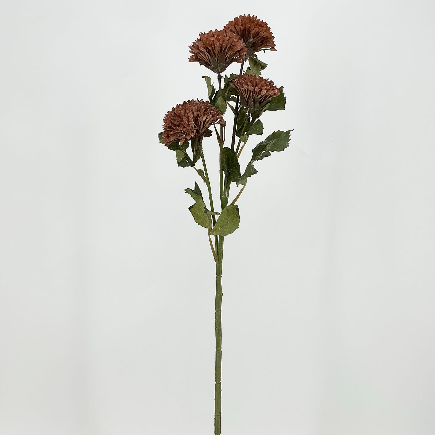 Dahlia Stem 25" - Rose