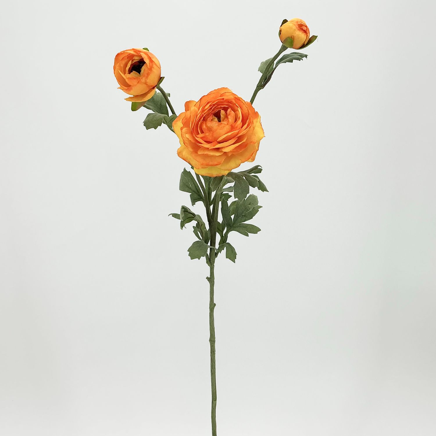 Ranunculus Spray Orange