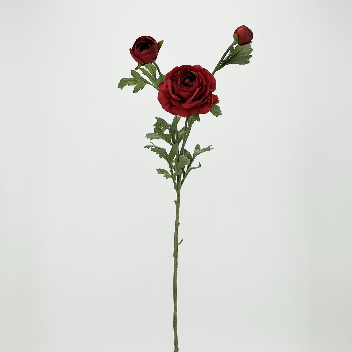 Ranunculus Spray Burgundy