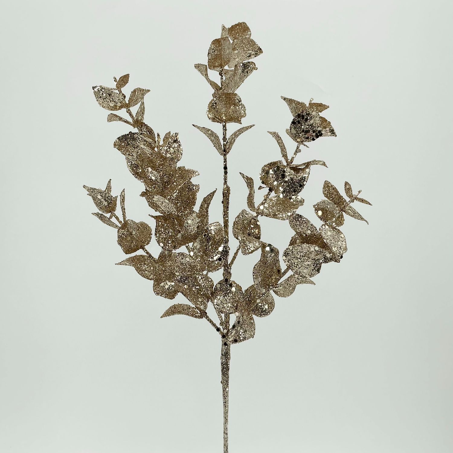 Eucalyptus Spray 20" - Champagne