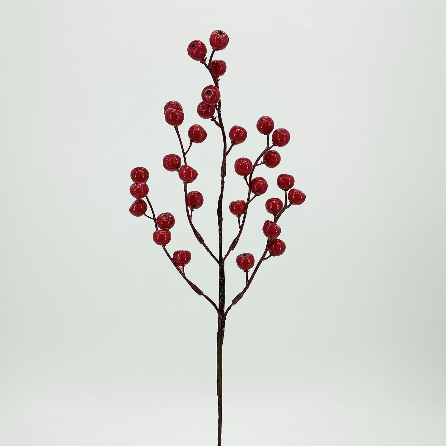 Outdoor Pepper Berry Pick 14" - Red