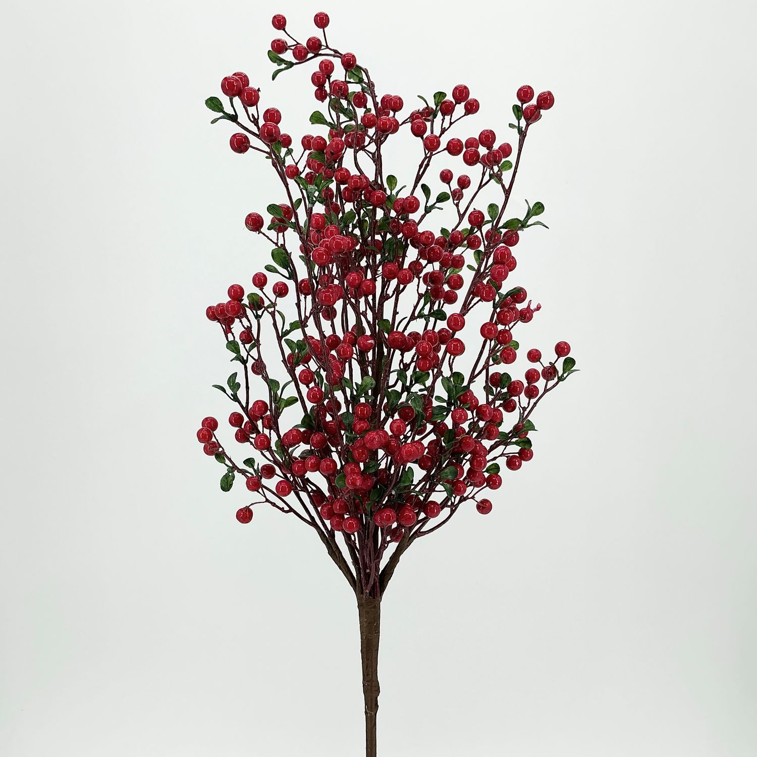 Outdoor Berry Bush 24"