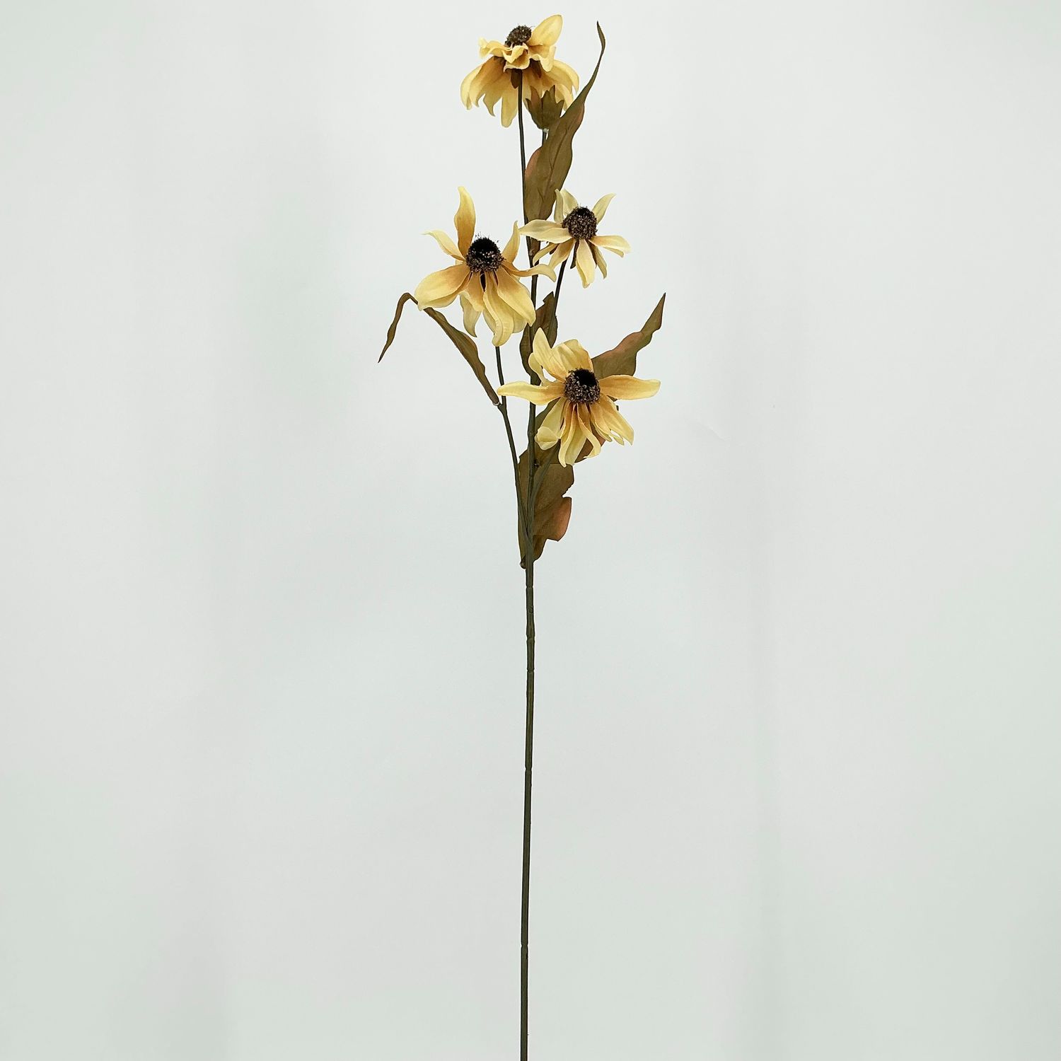 Black Eyes Susan Stem 32" - Beige
