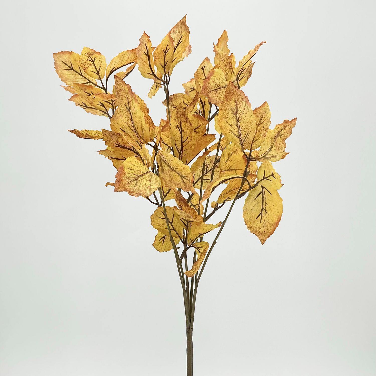 Bay Leaf Bush 22" - 2 Styles