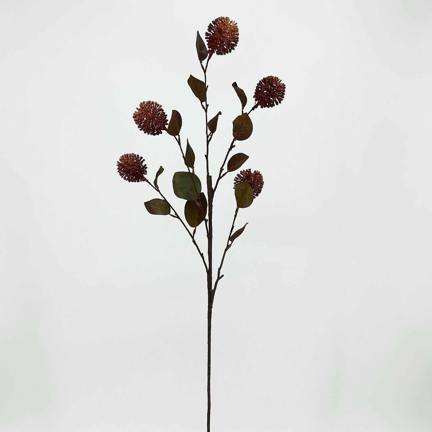 Allium Stem 34" - Rust