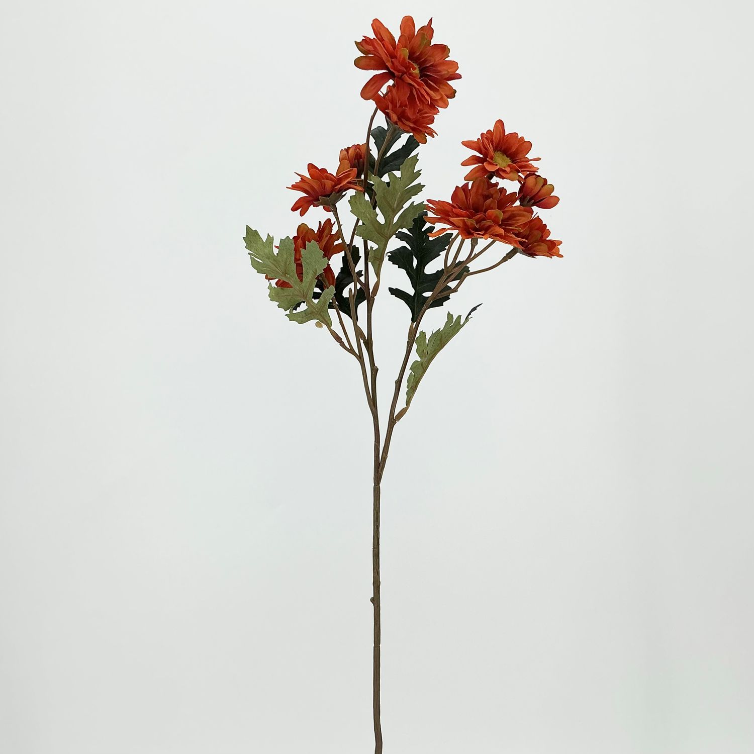 Mum Daisy Stem 27" - 2 Styles