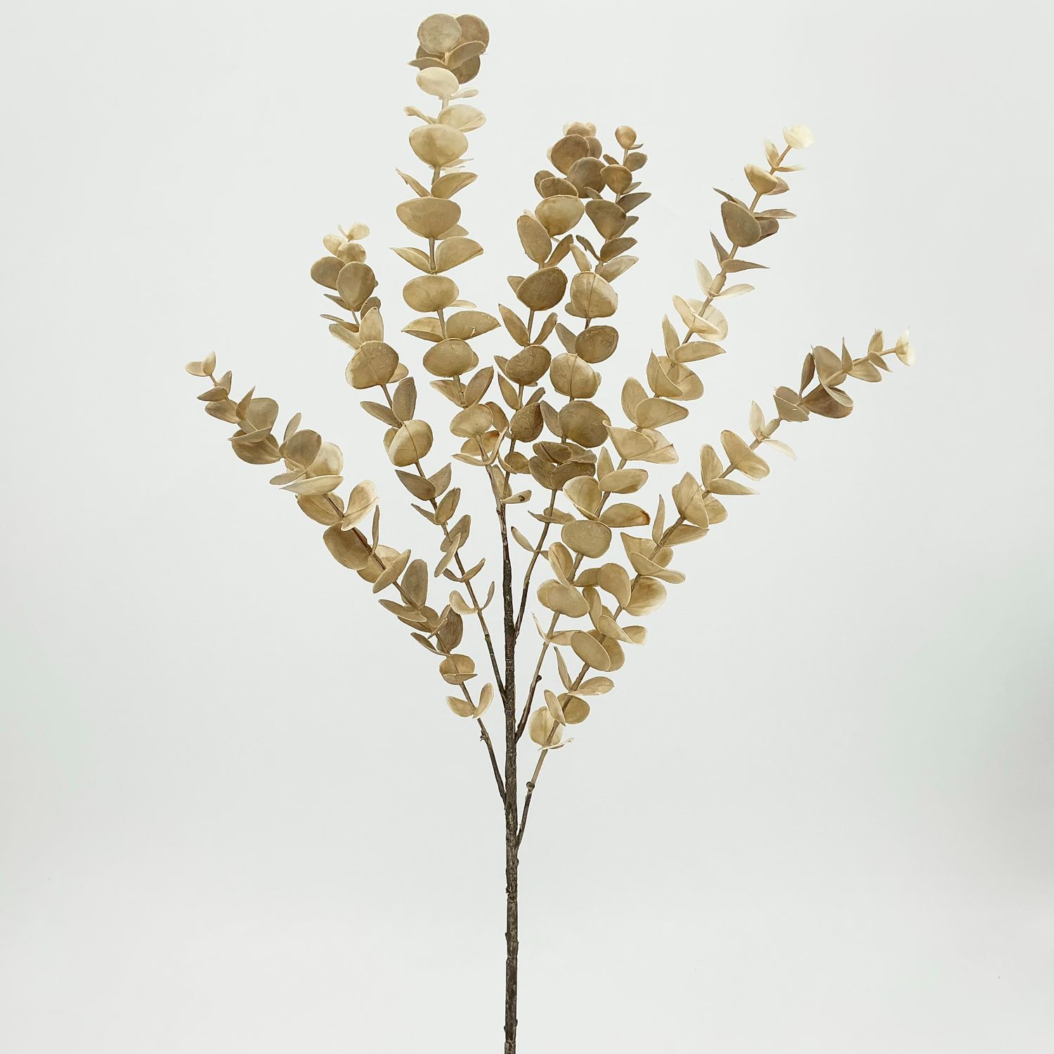 Eucalyptus Stem 25" - Beige