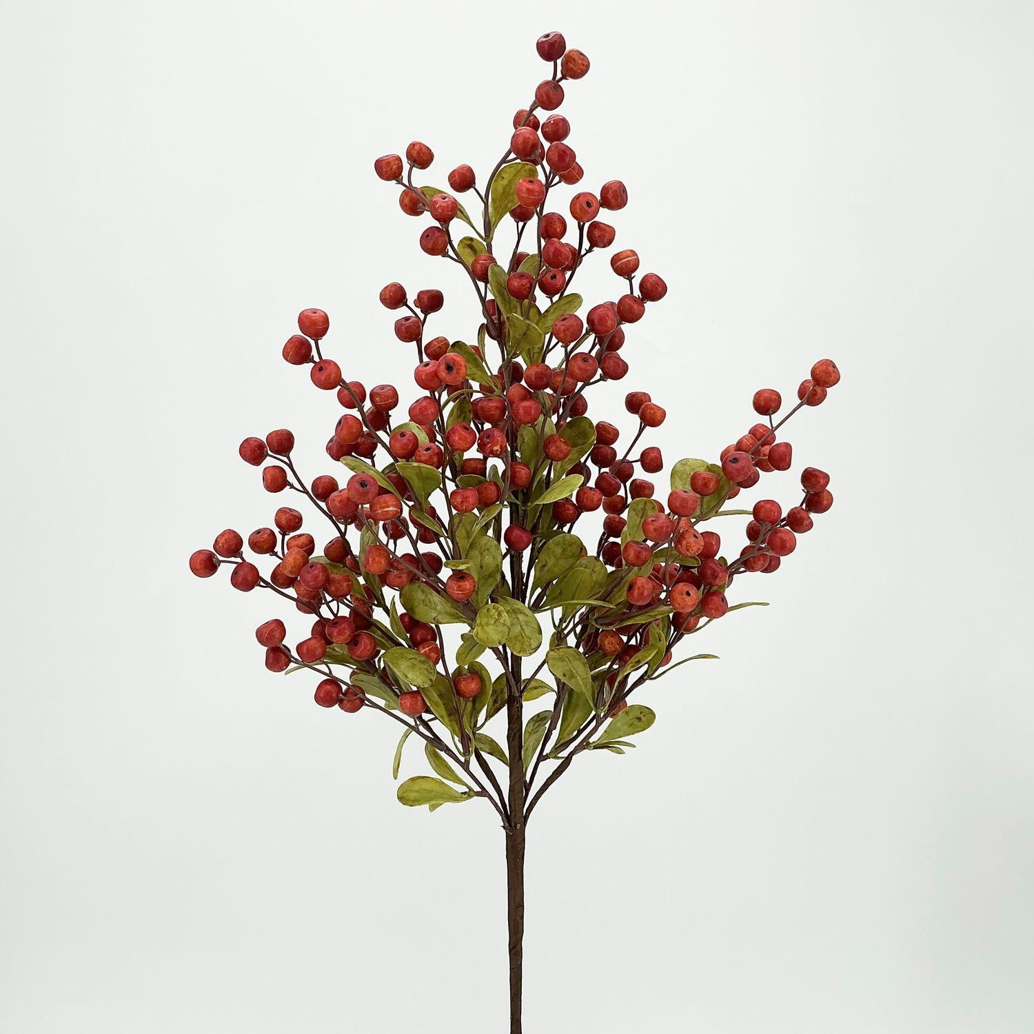 Outdoor Berry Bush W/ Foilage 24"