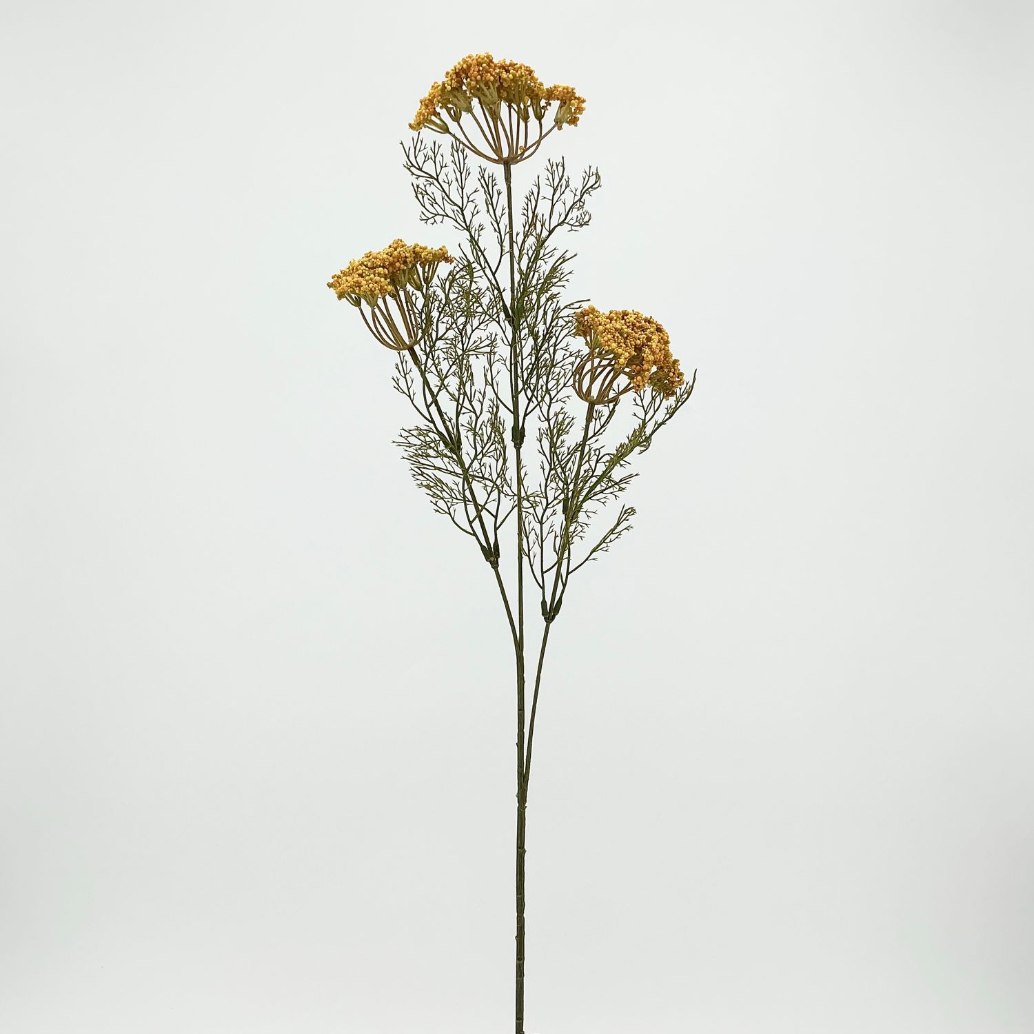 Yarrow Stem 29" - Yellow