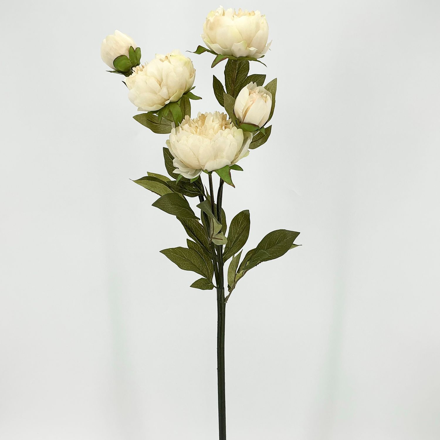 Peony Spray 36" - Beige