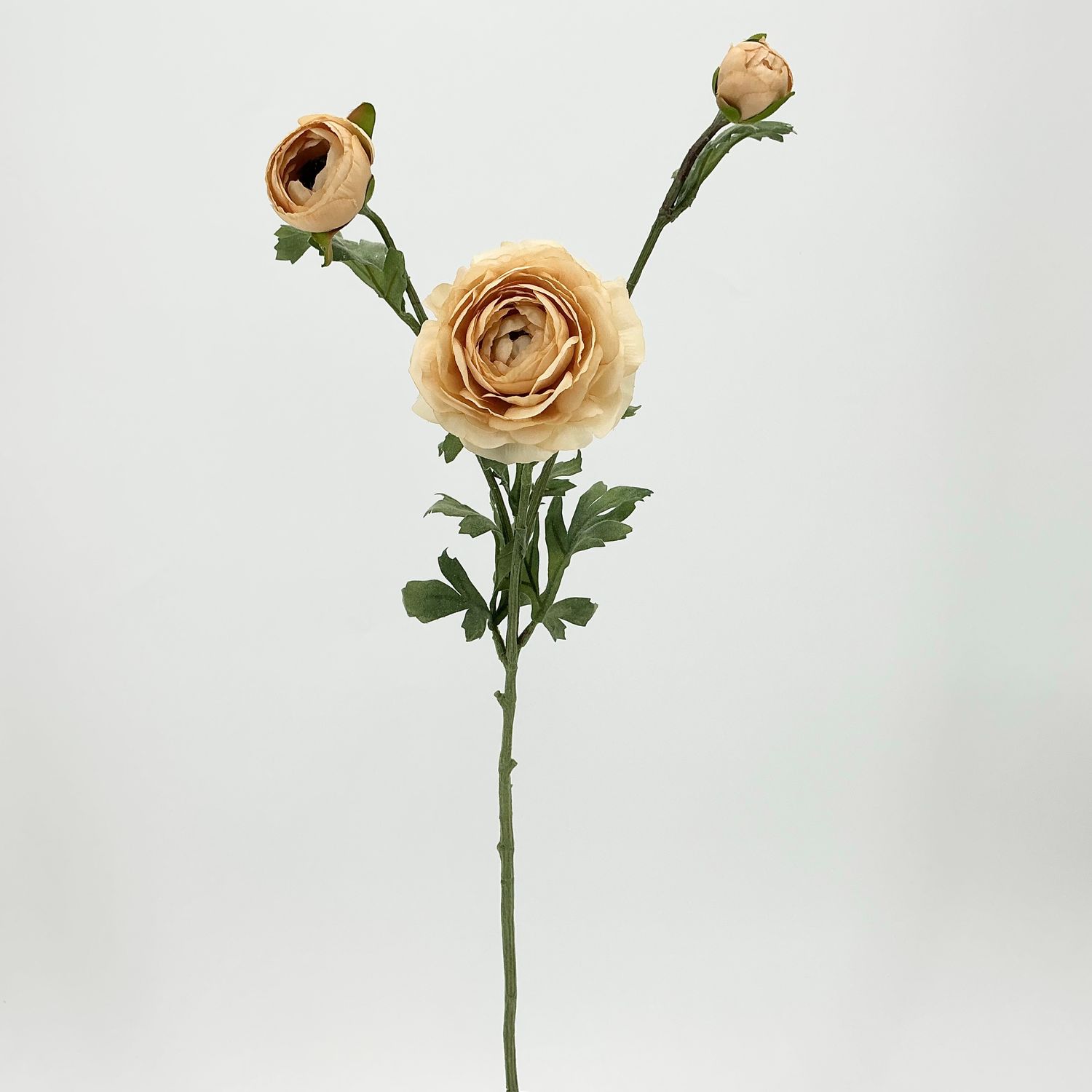 Ranunculus Spray Beige