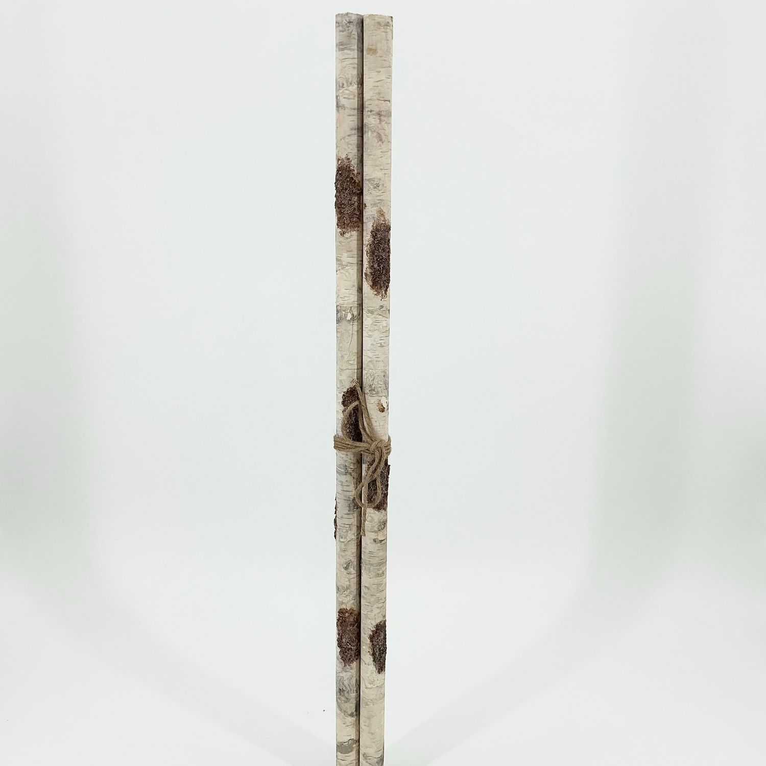 Birch Bundle 30" - Set Of 3