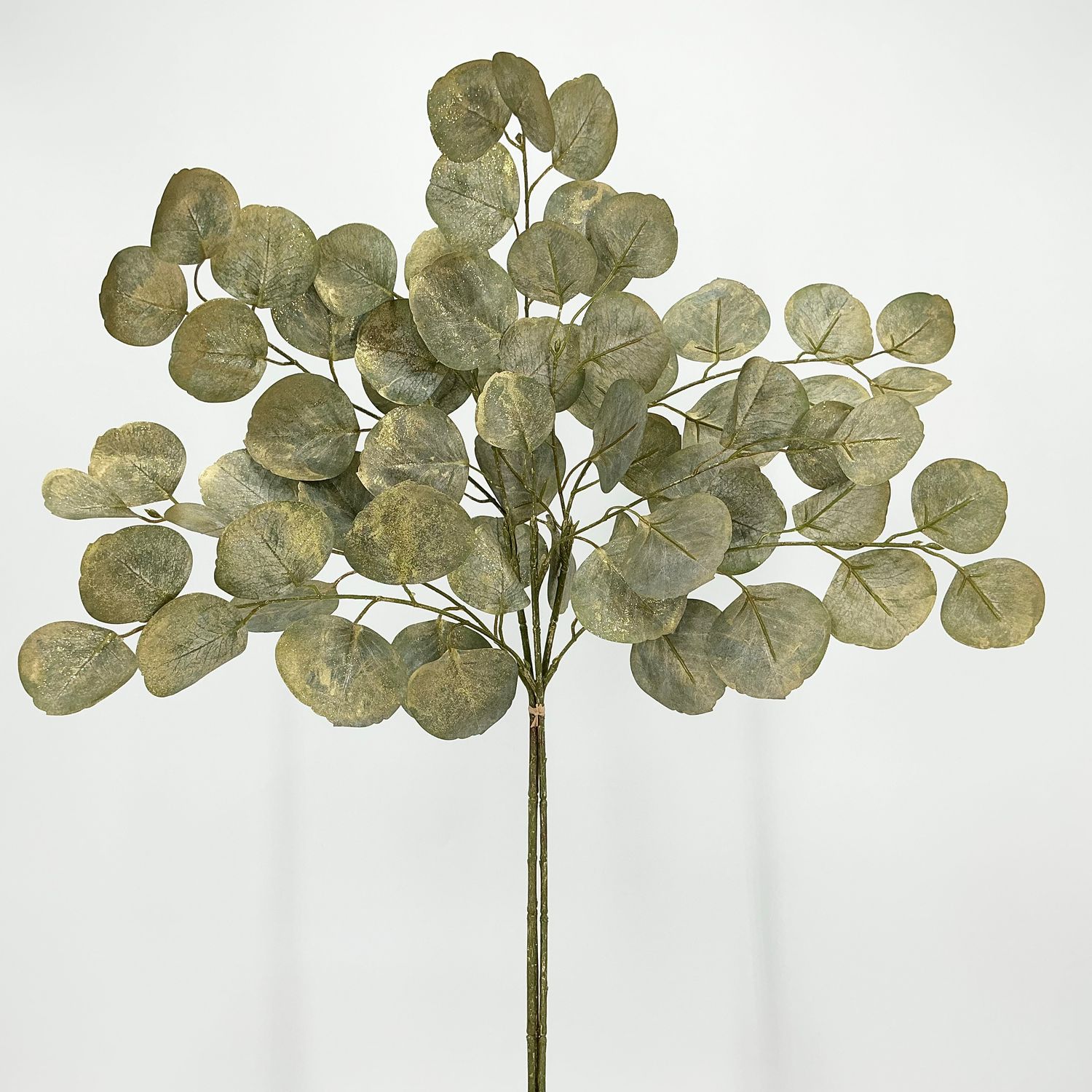 Silver Dollar Eucalyptus Bundle 32" - Gold