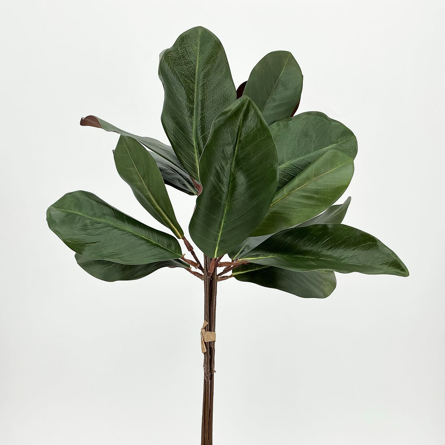 Magnolia Bundle 20"