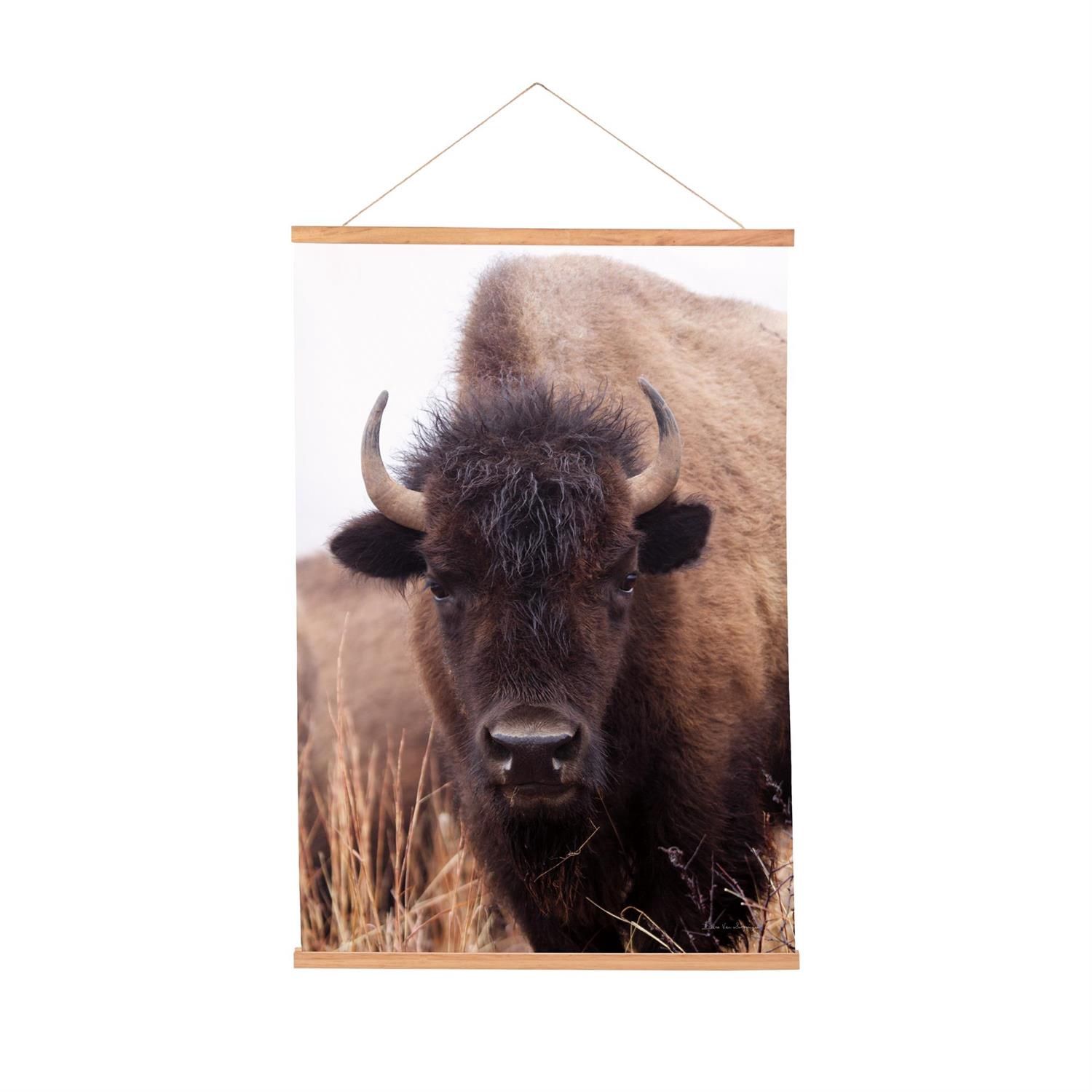 Bison Canvas Tapestry 36" X 24"