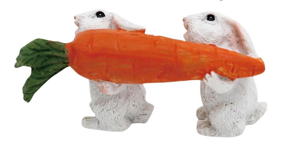 Bunnies With Carrot