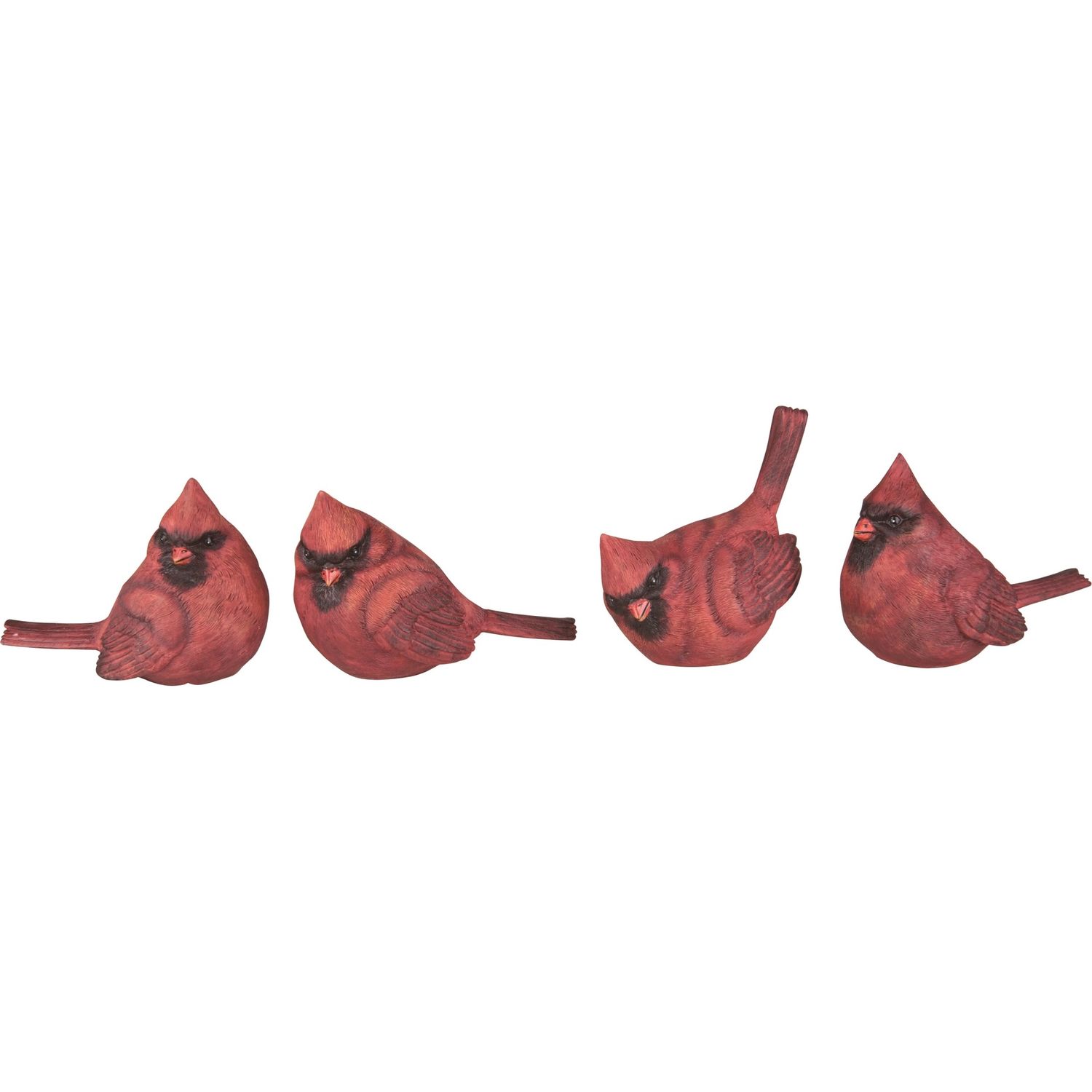 Medium Cardinal - 4 Styles - Sold Individually