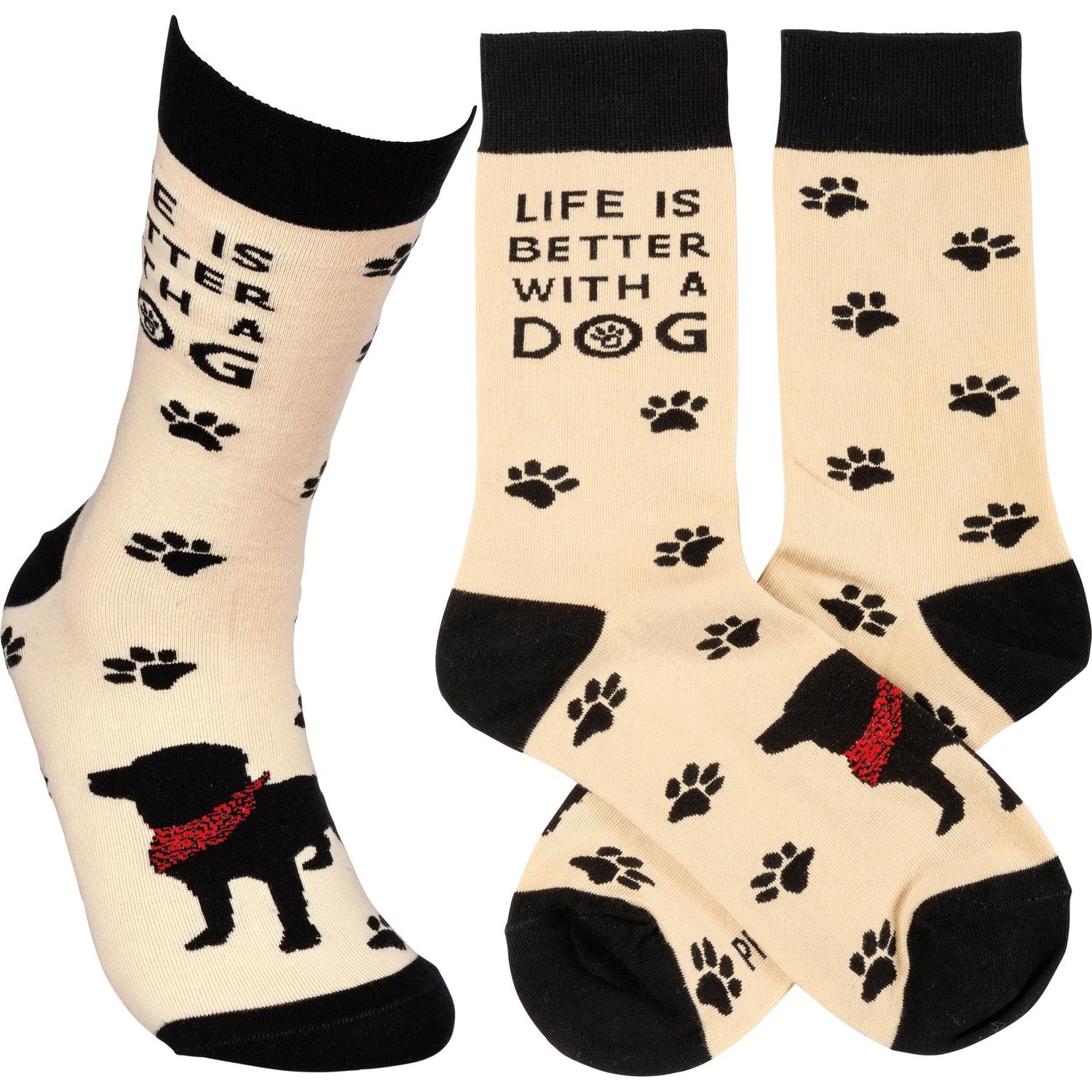 Socks - Life Is Better W/ A Dog