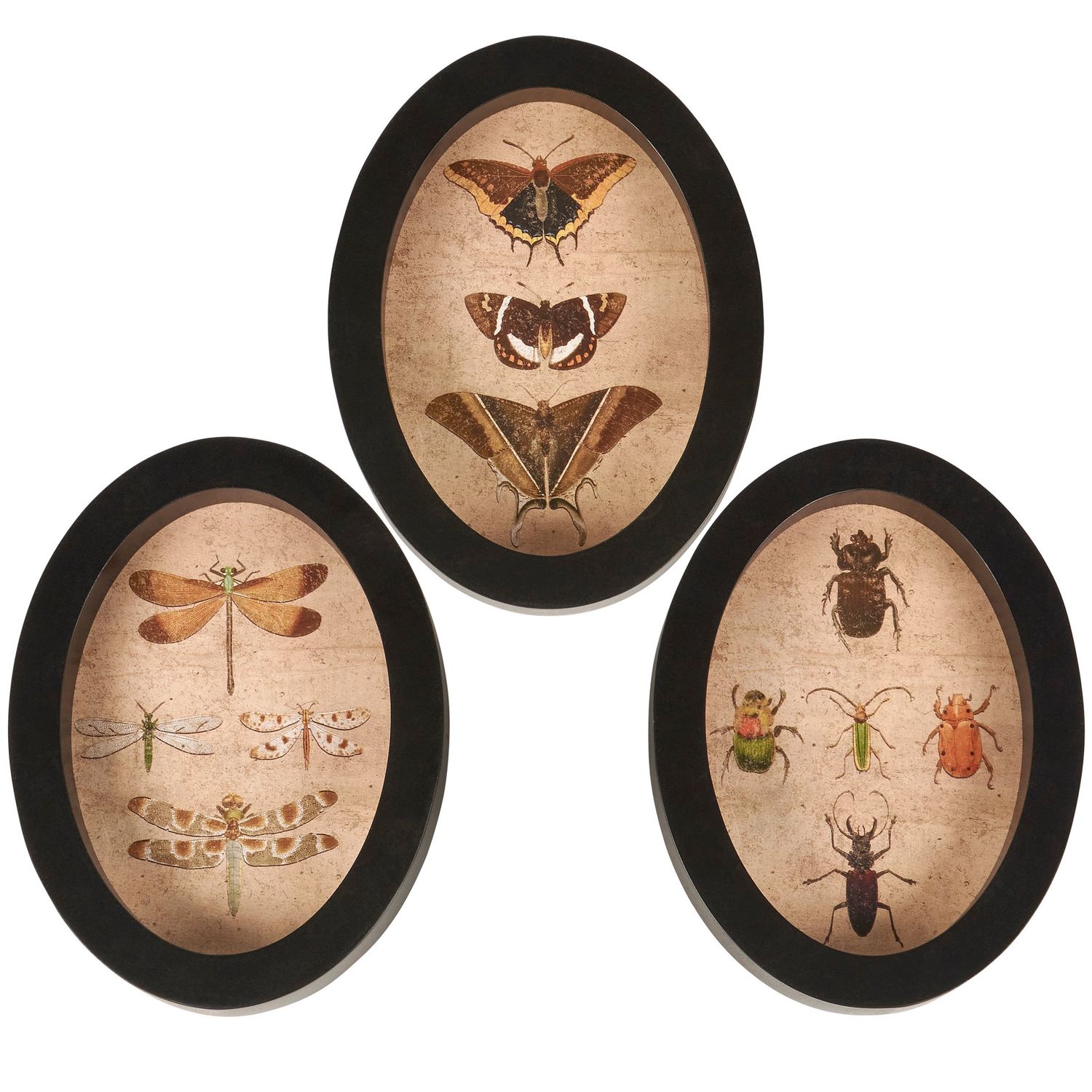 Insect Plaque - Set Of 3