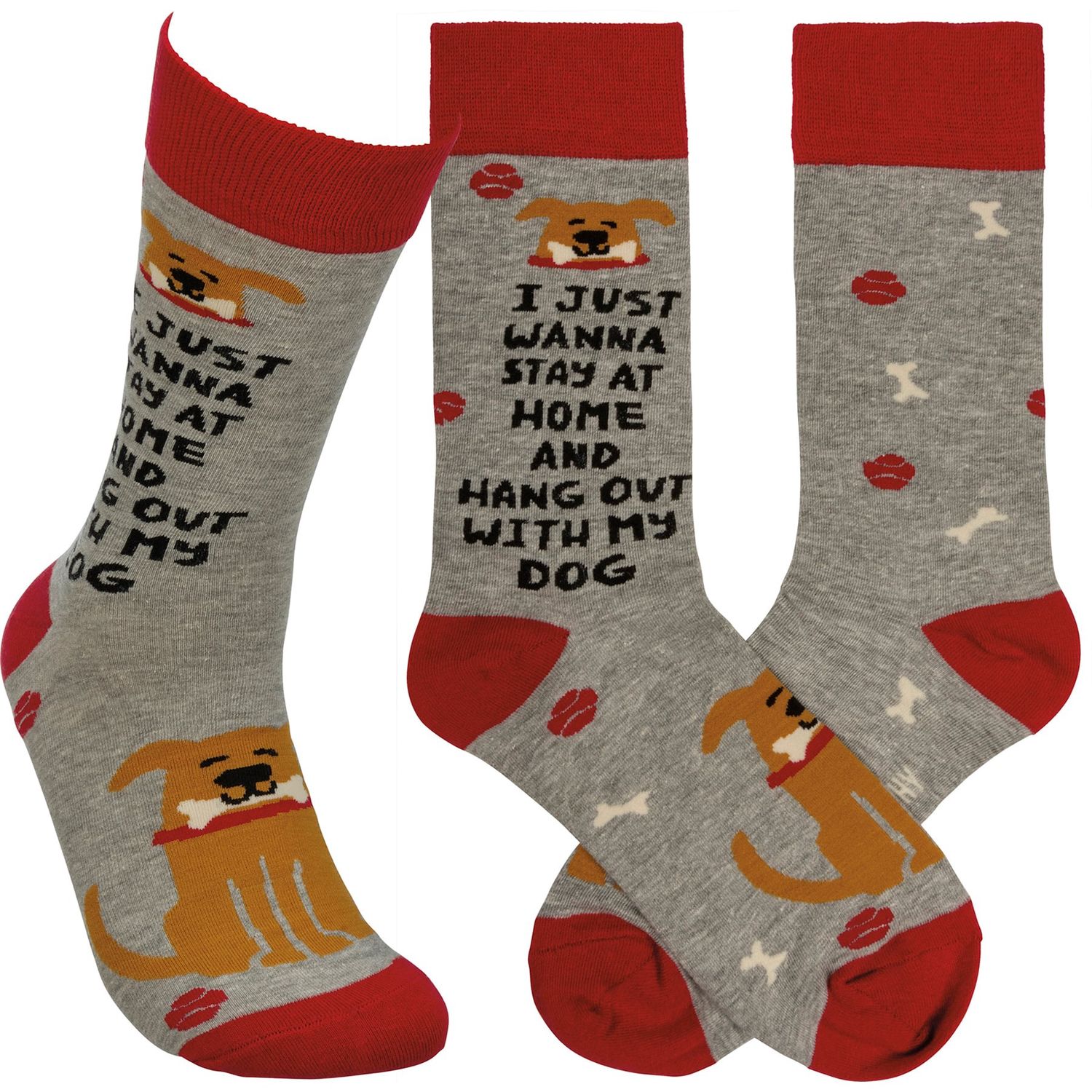 Socks - I Just Wanna Hang W/ My Dog