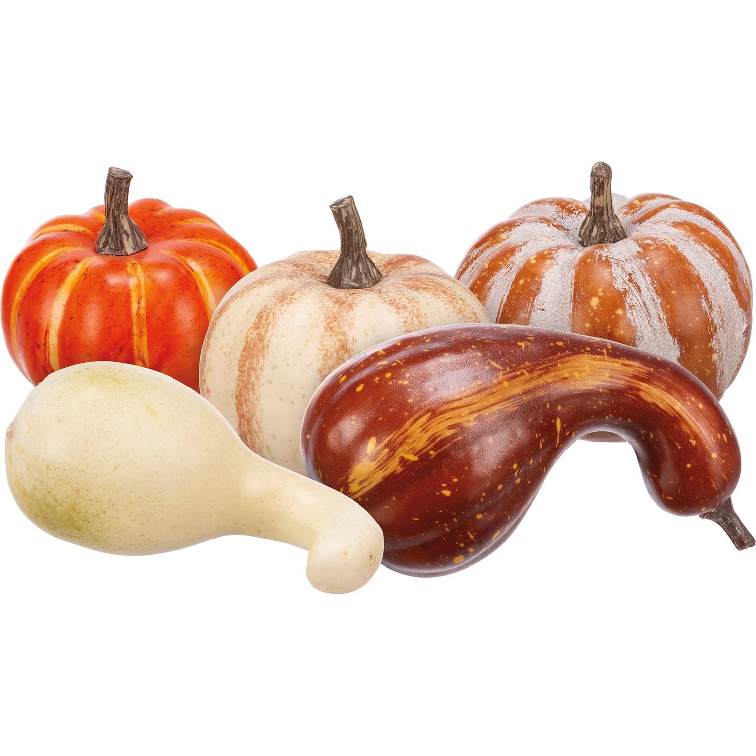 Fall Mix Pumpkin Set - Pumpkin Sizes Vary