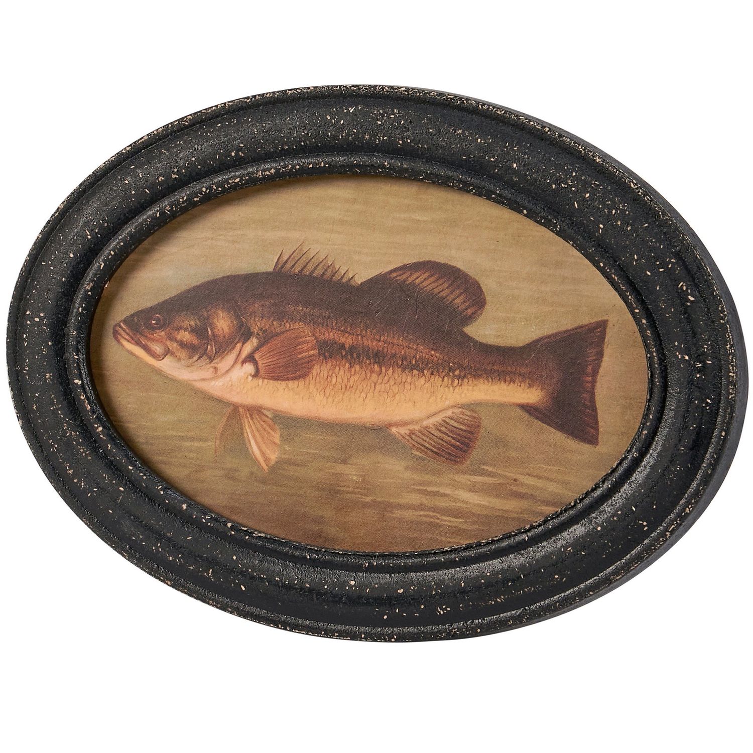 Bass Framed Art - 7.25" X 5"