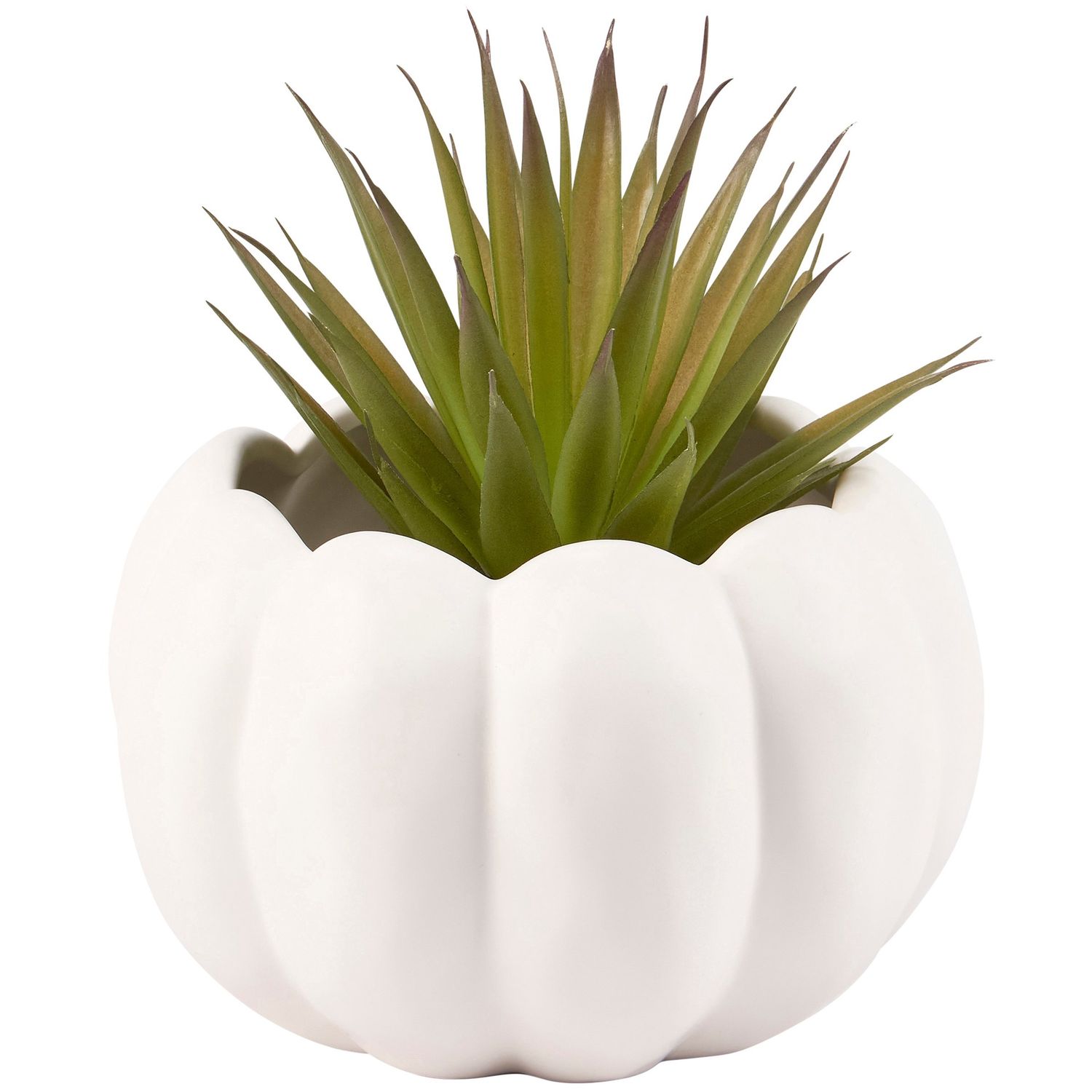 Pumpkin Pot